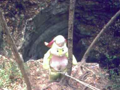 Sinkhole