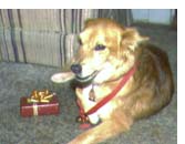 Studs was a rare gift.