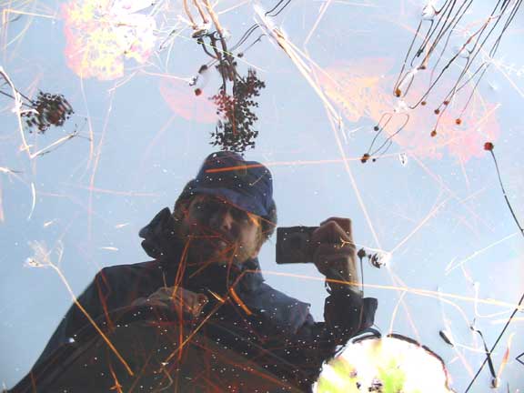 Oke Reflection