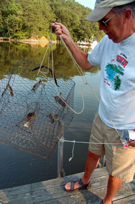 crabs from your own dock