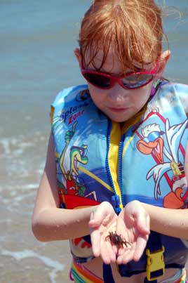 Laura holds a tiny crab.
