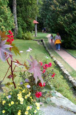 Thuya Garden