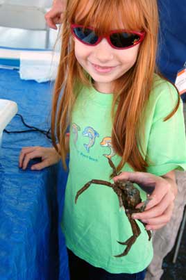 Crab at the Boat Show