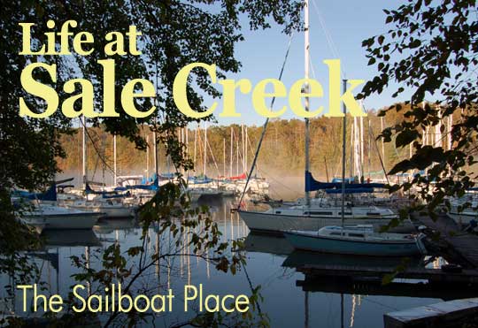 Life at Sale Creek Marina