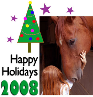Happy Holidays 2008